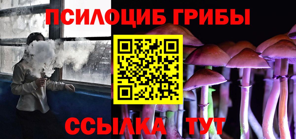 Псилоцибиновые грибы прущие грибы Тосно