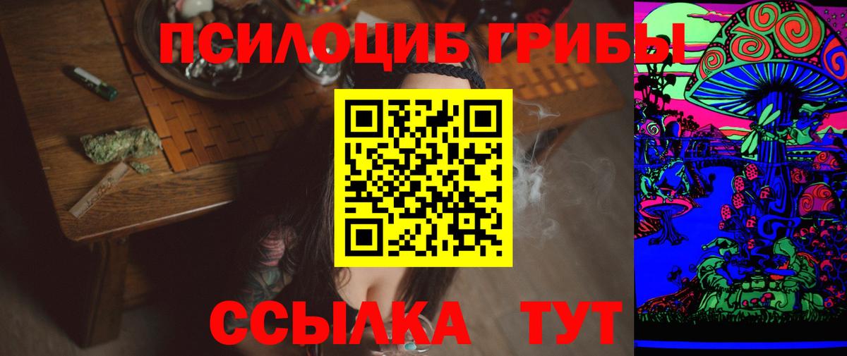 Тосно  Галлюциногенные грибы Cubensis  Вход с VPN  Псилоцибиновые грибы Psilocybine cubensis 